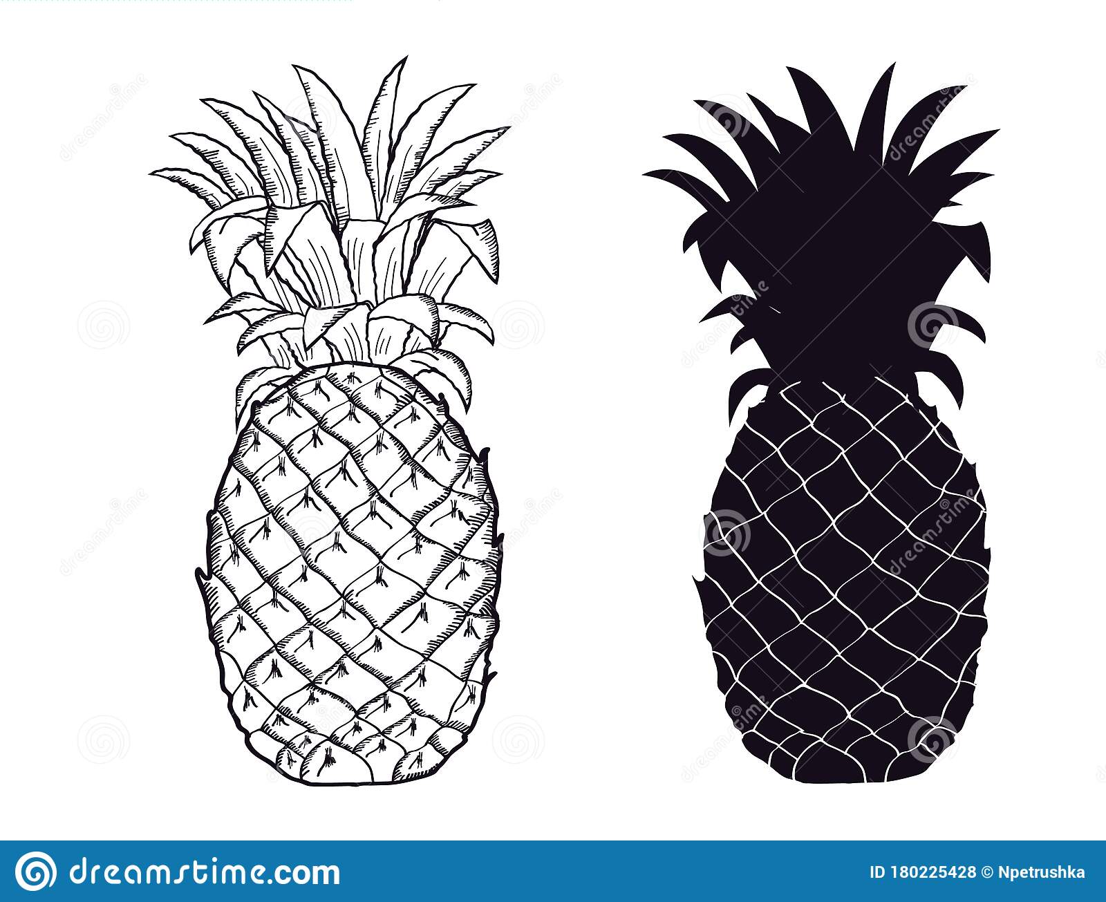 Detail Pineapple Silhouette Vector Nomer 18