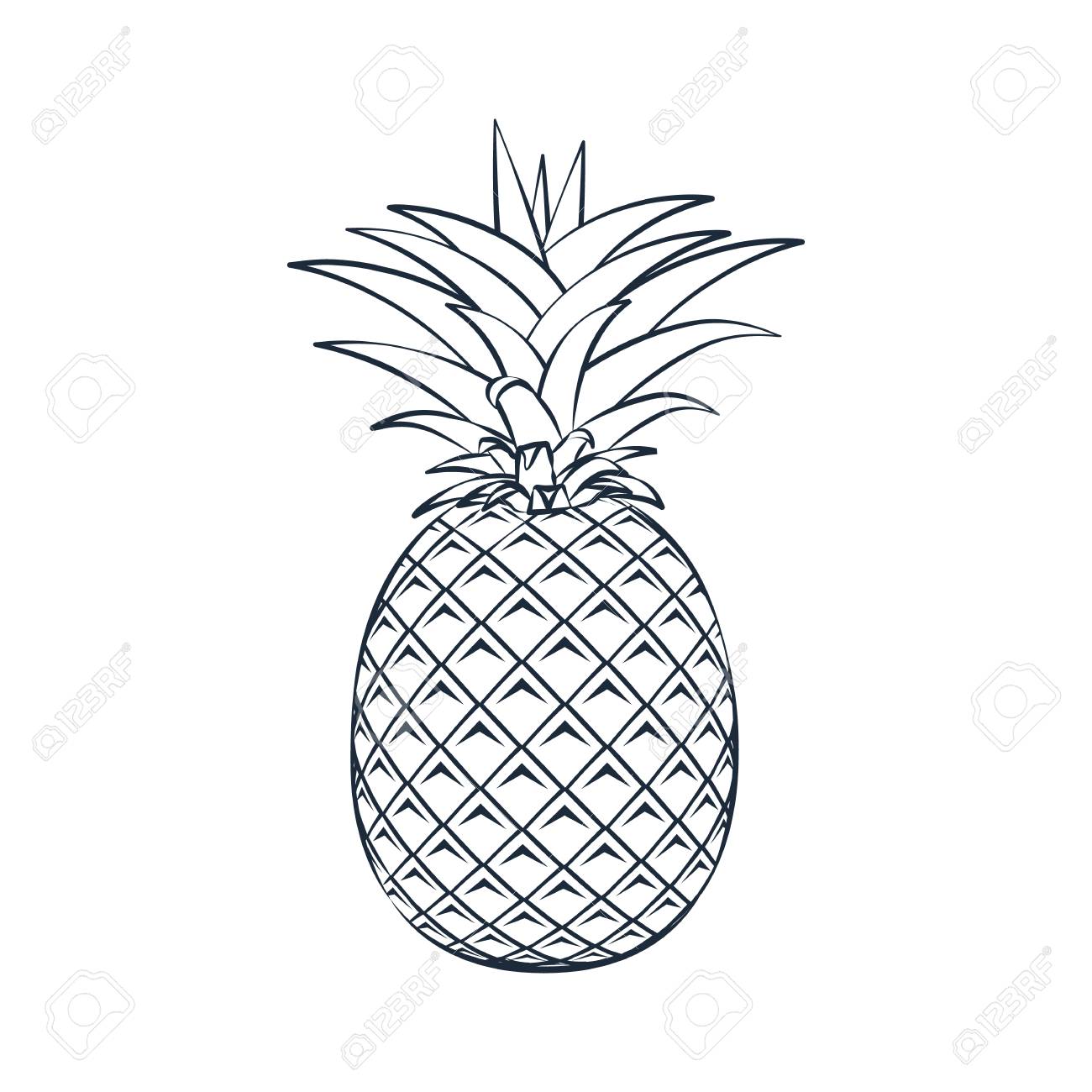 Detail Pineapple Silhouette Vector Nomer 30