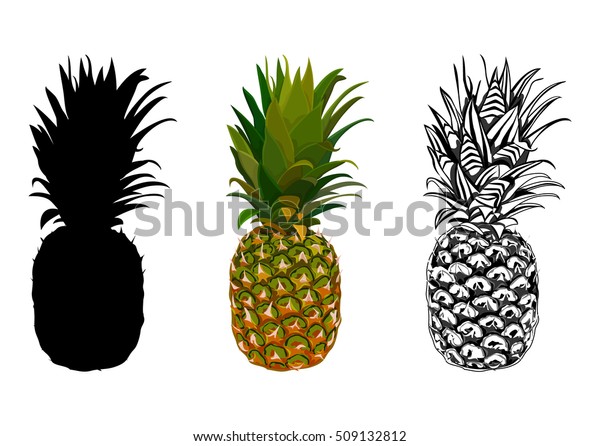 Detail Pineapple Silhouette Vector Nomer 42