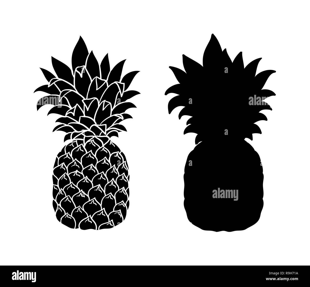 Detail Pineapple Silhouette Vector Nomer 49