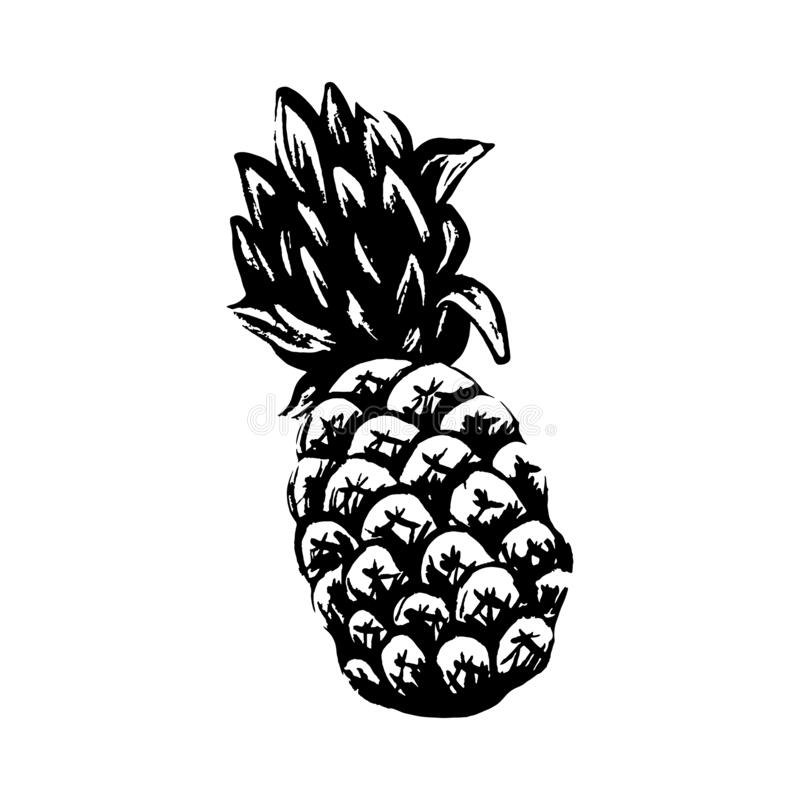 Detail Pineapple Silhouette Vector Nomer 53