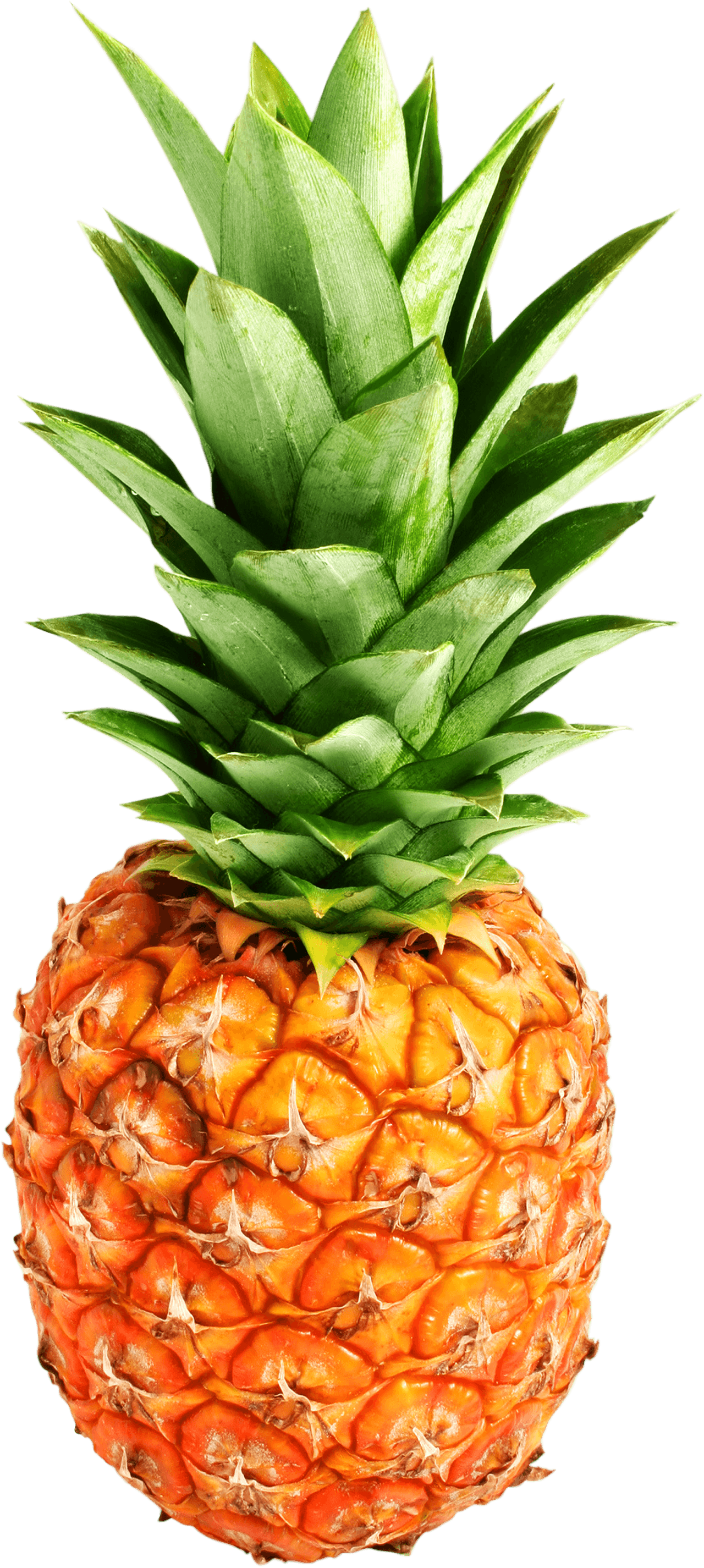 Detail Pineapple Transparent Background Nomer 16