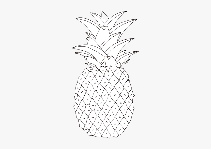 Detail Pineapple Transparent Background Nomer 27