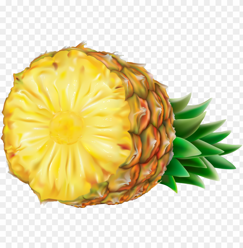 Detail Pineapple Transparent Background Nomer 53