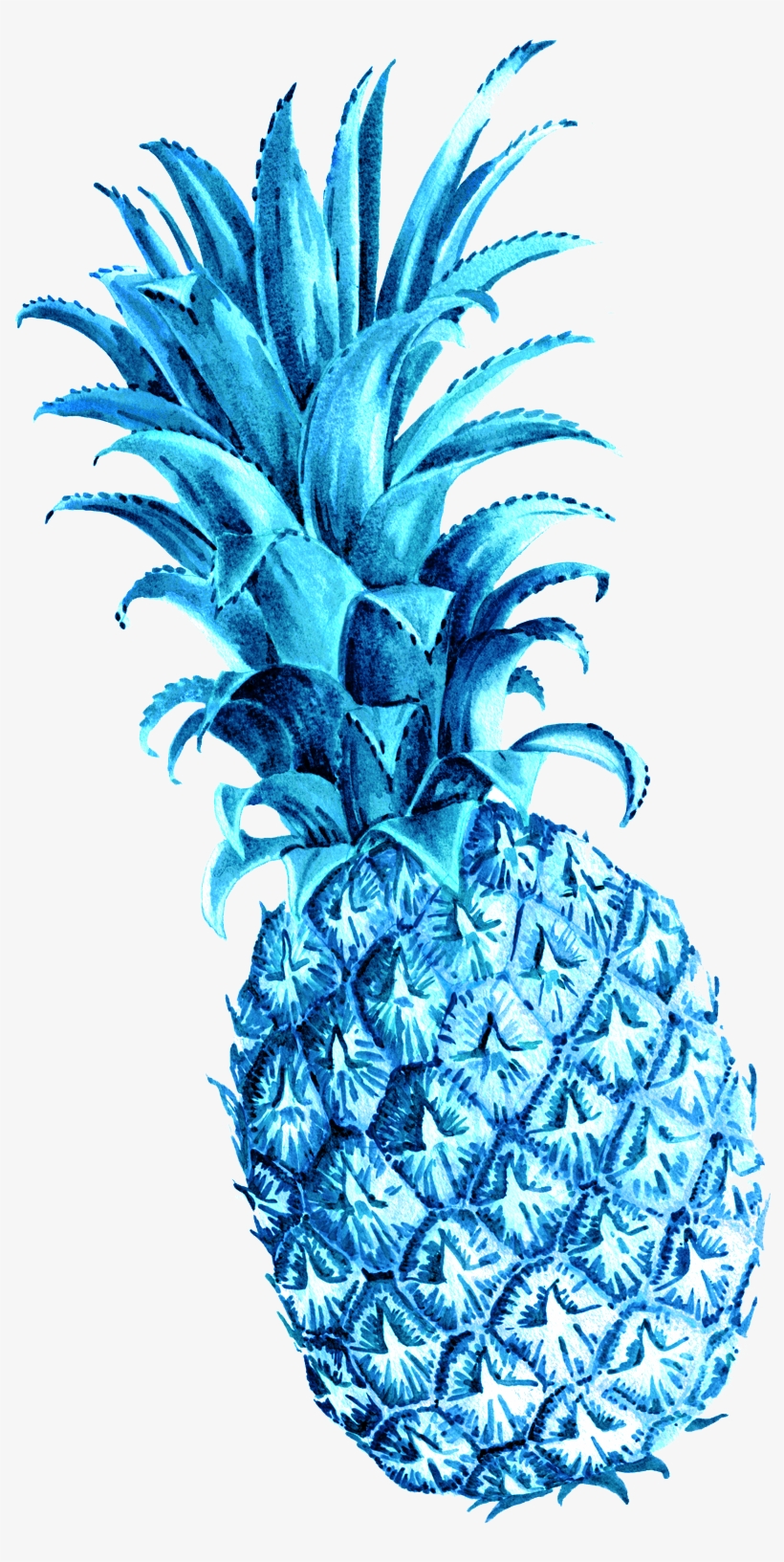 Detail Pineapple Transparent Png Nomer 44