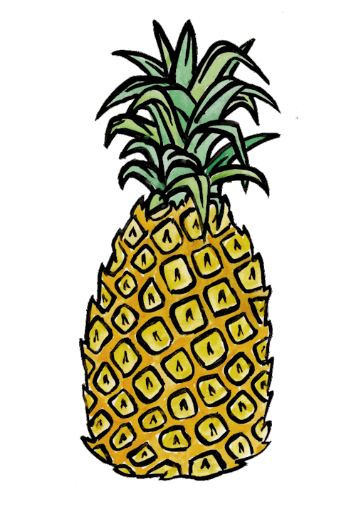 Detail Pineapple Tumblr Background Nomer 41