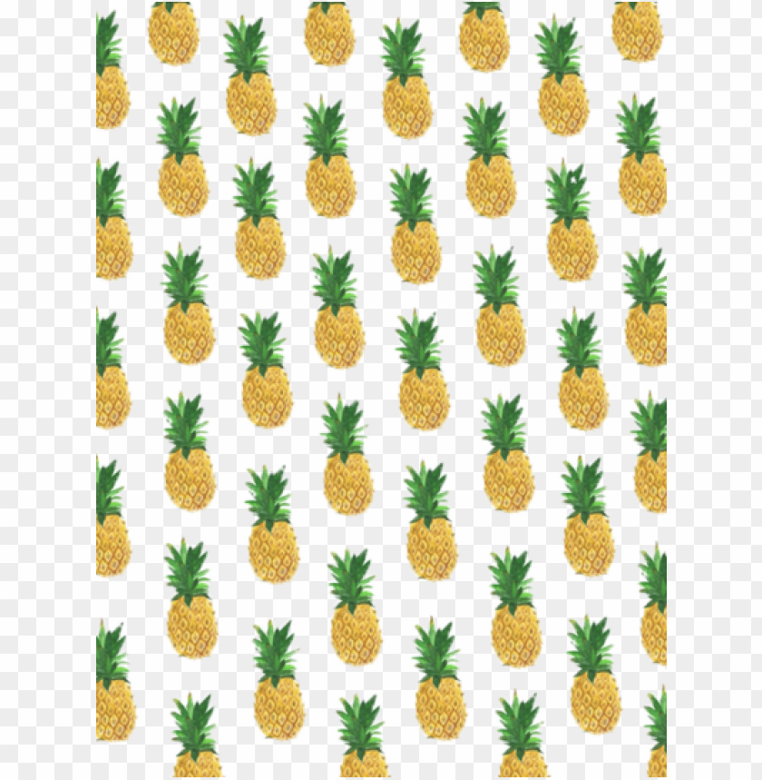 Detail Pineapple Tumblr Wallpaper Nomer 41