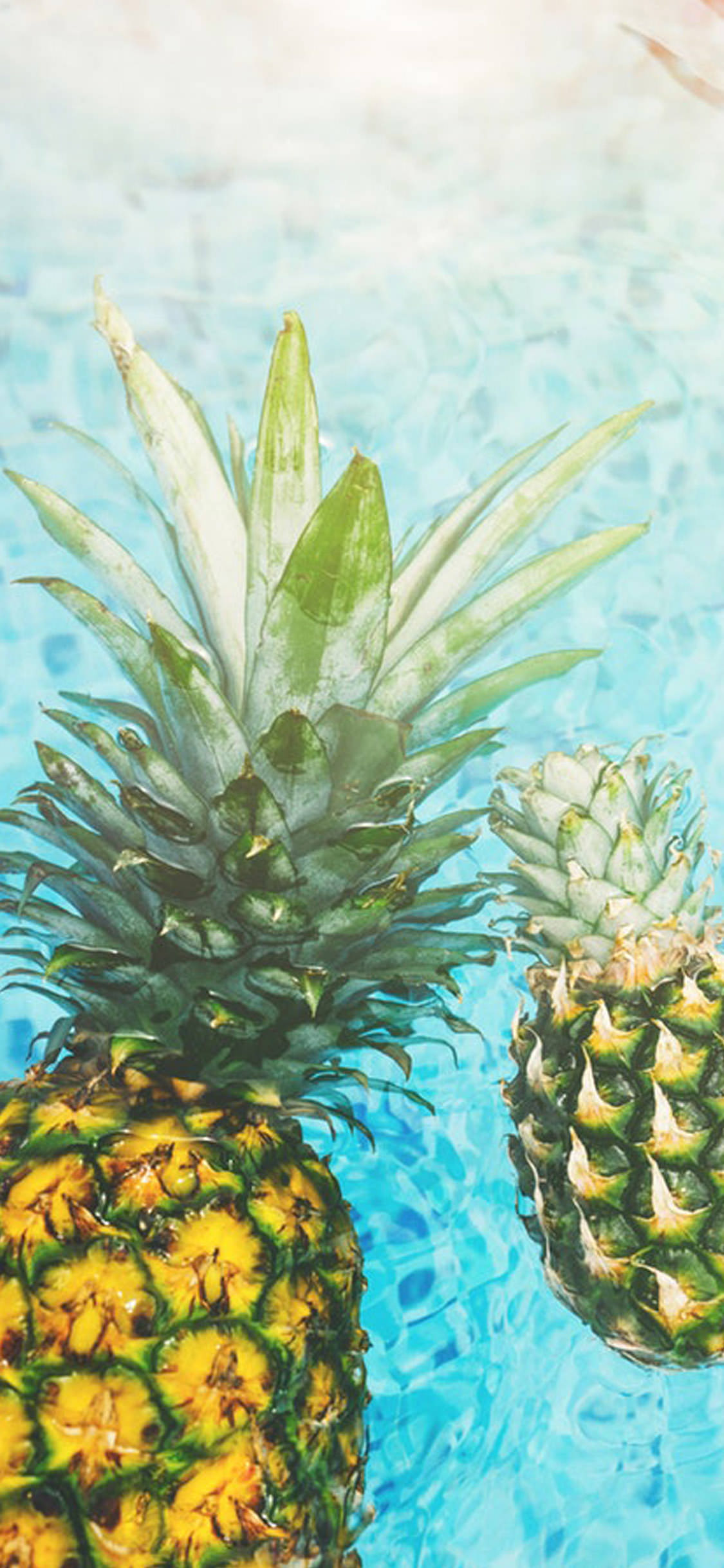 Detail Pineapple Wallpaper Hd Nomer 36