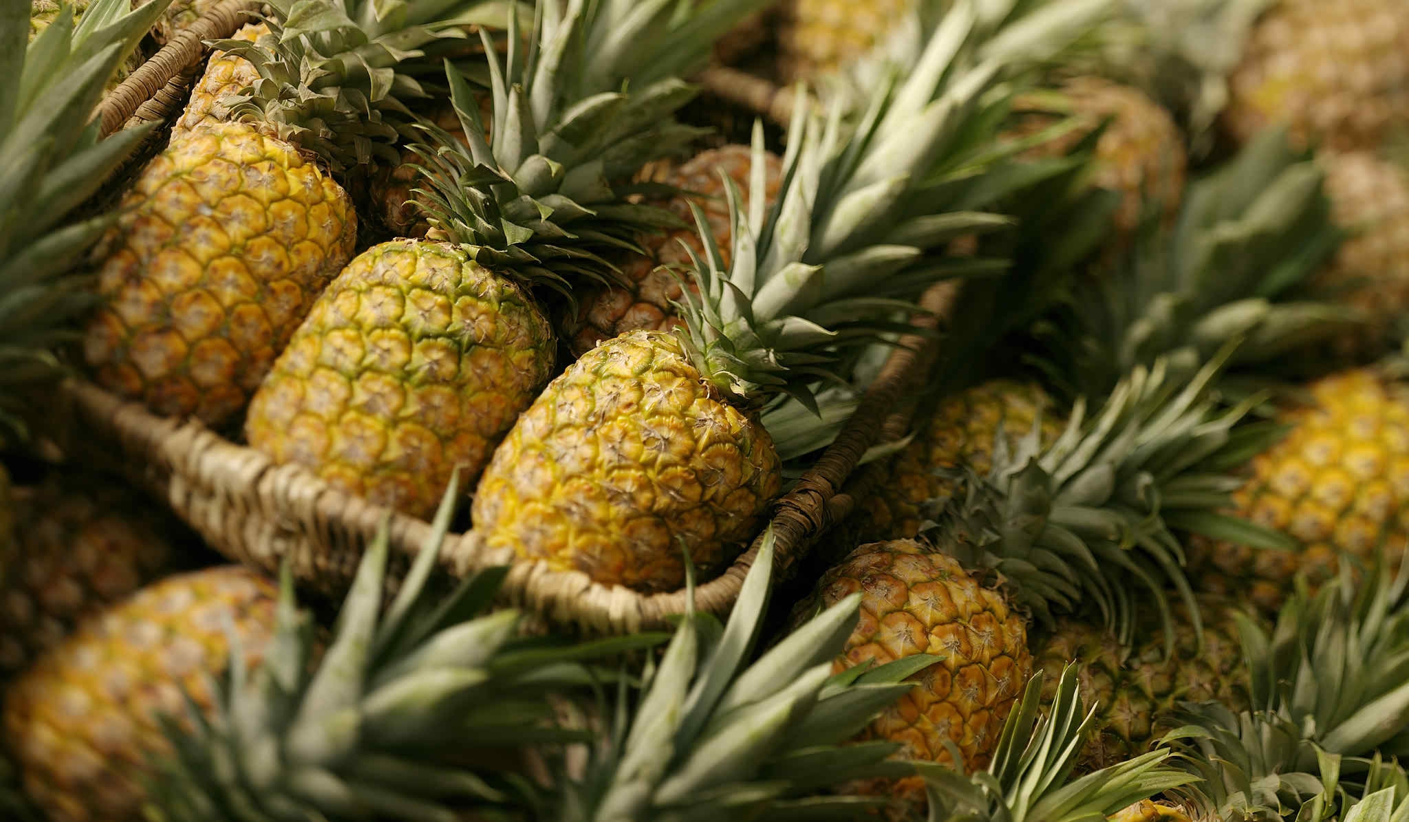 Detail Pineapple Wallpaper Hd Nomer 46