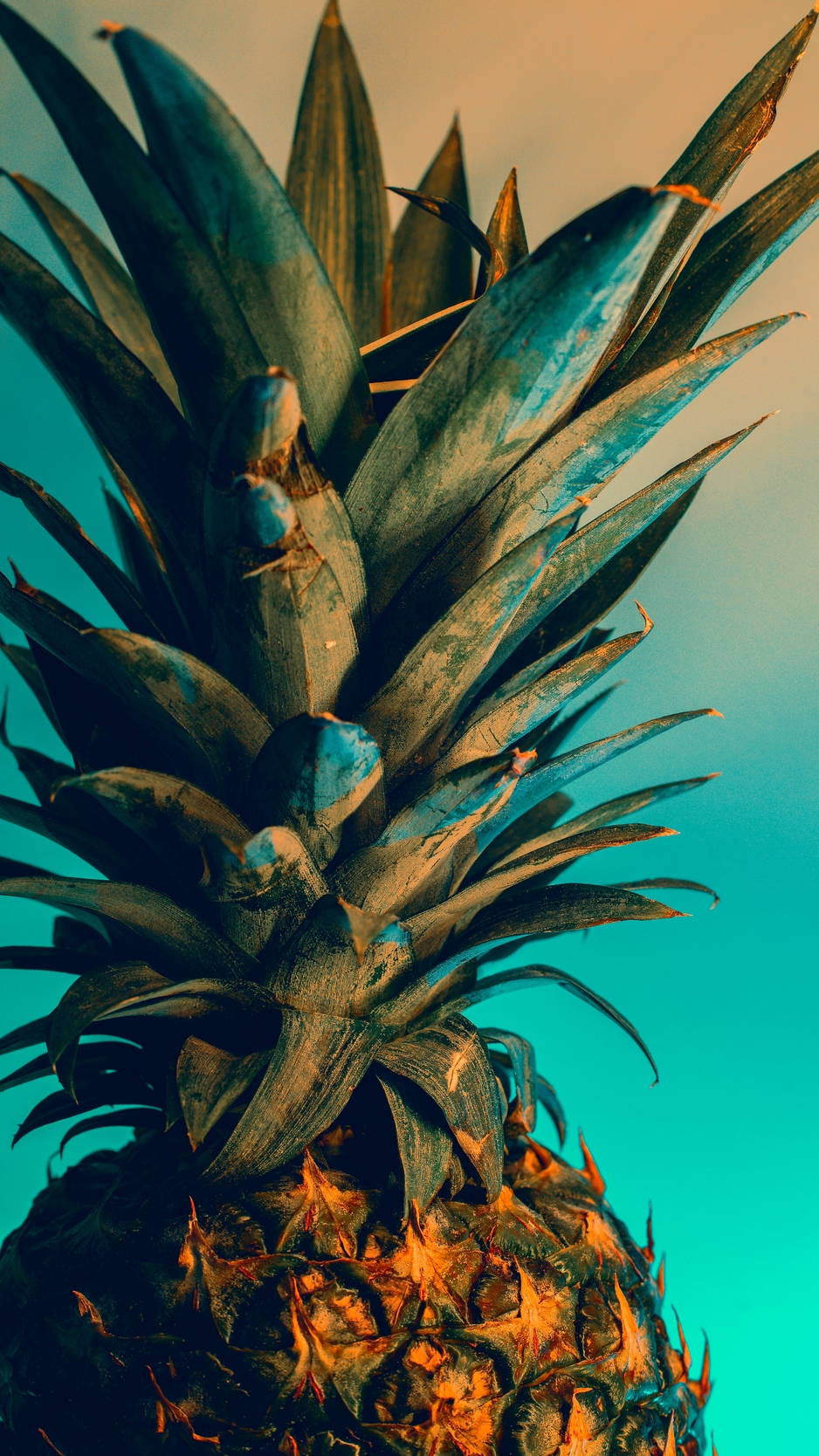 Detail Pineapple Wallpaper Hd Nomer 9