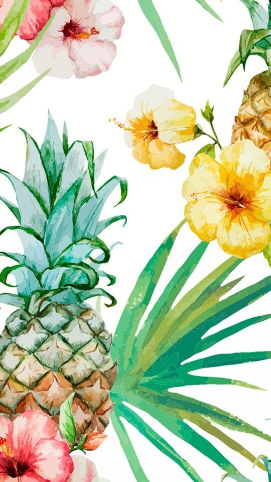 Detail Pineapple Wallpaper Tumblr Nomer 40