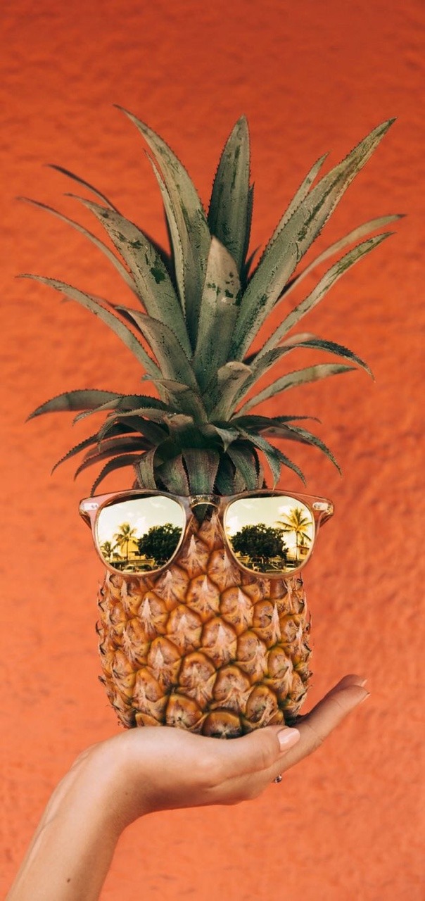 Detail Pineapple Wallpaper Tumblr Nomer 54
