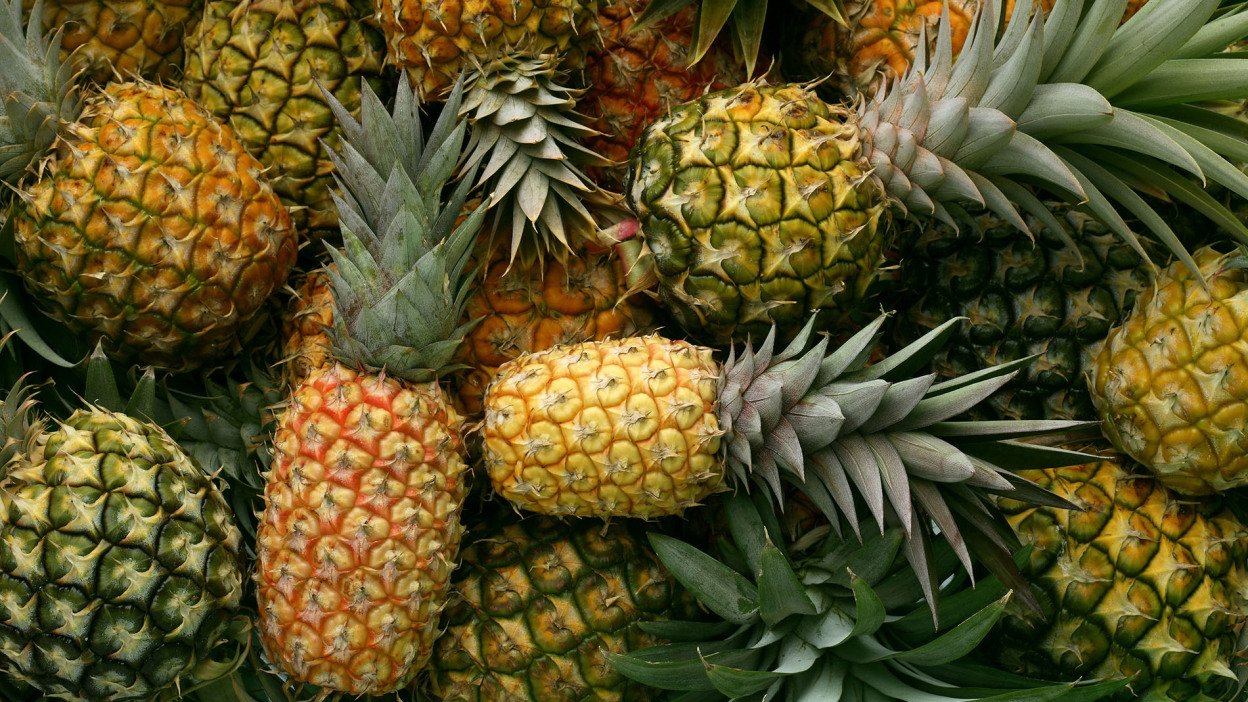 Detail Pineapples Images Nomer 36