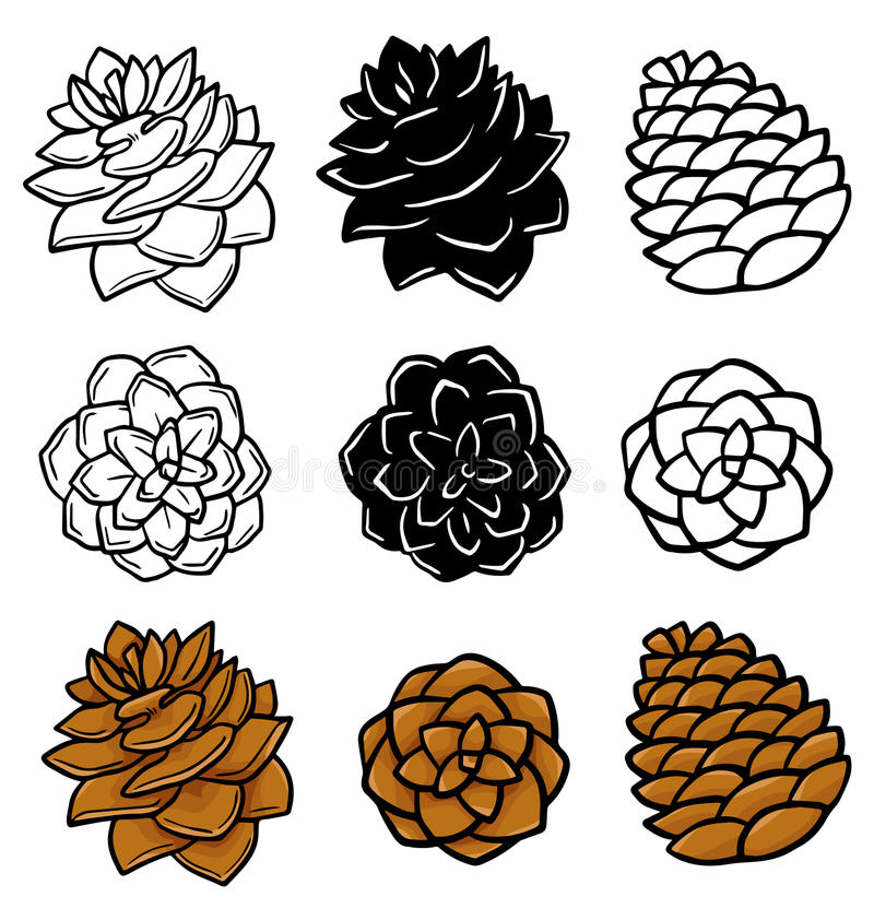 Detail Pinecone Clipart Nomer 19