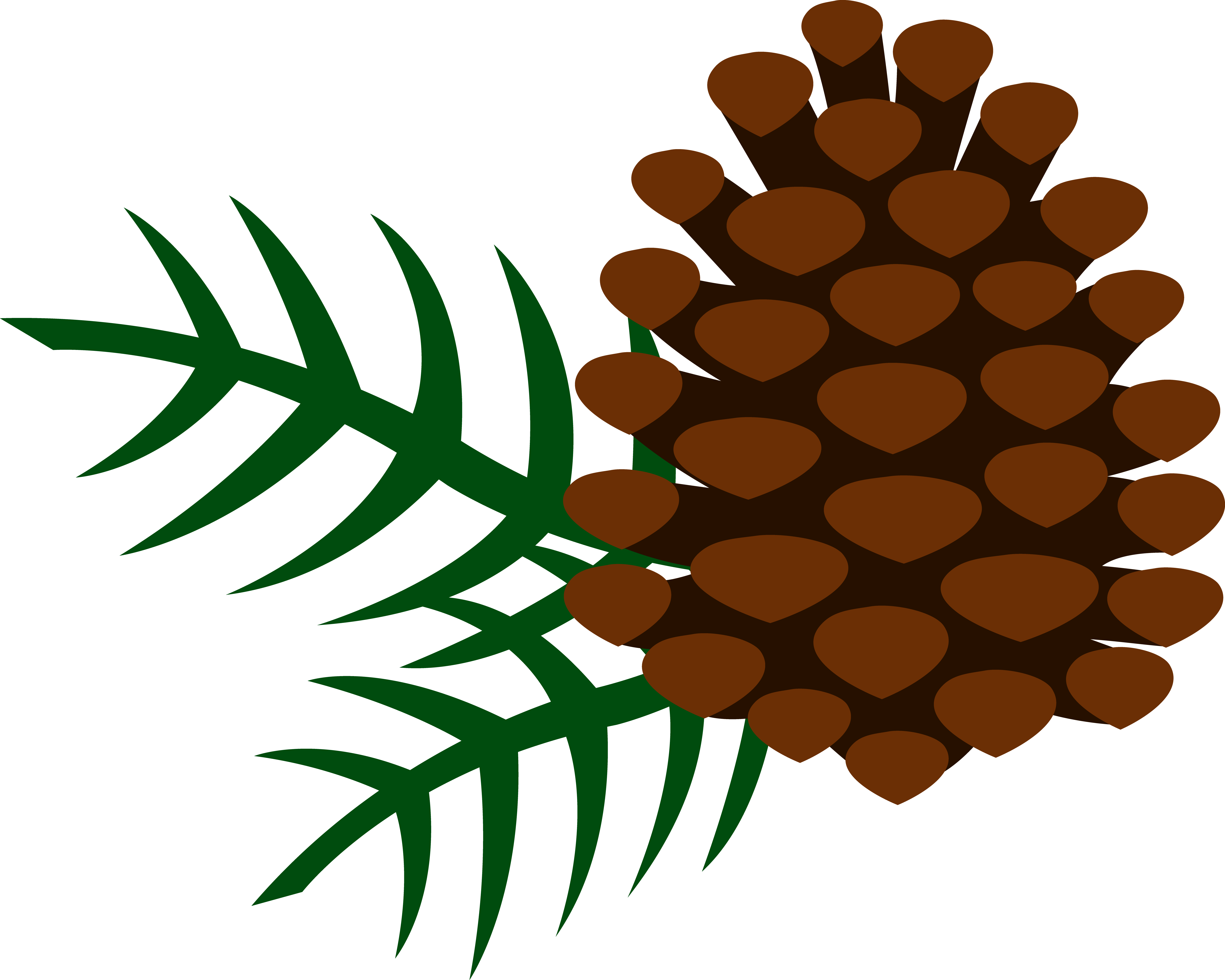 Detail Pinecone Clipart Nomer 2