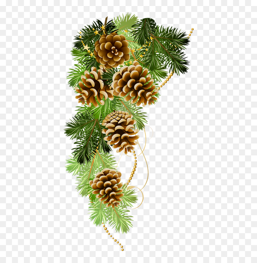 Detail Pinecone Clipart Nomer 30