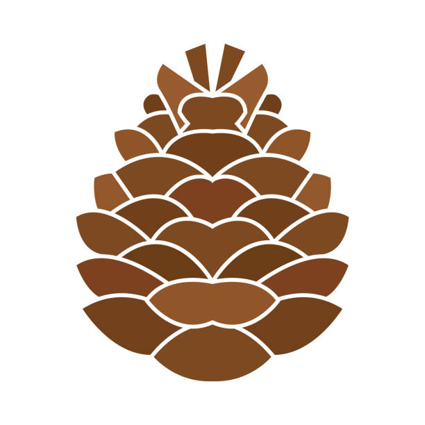 Detail Pinecone Clipart Nomer 3