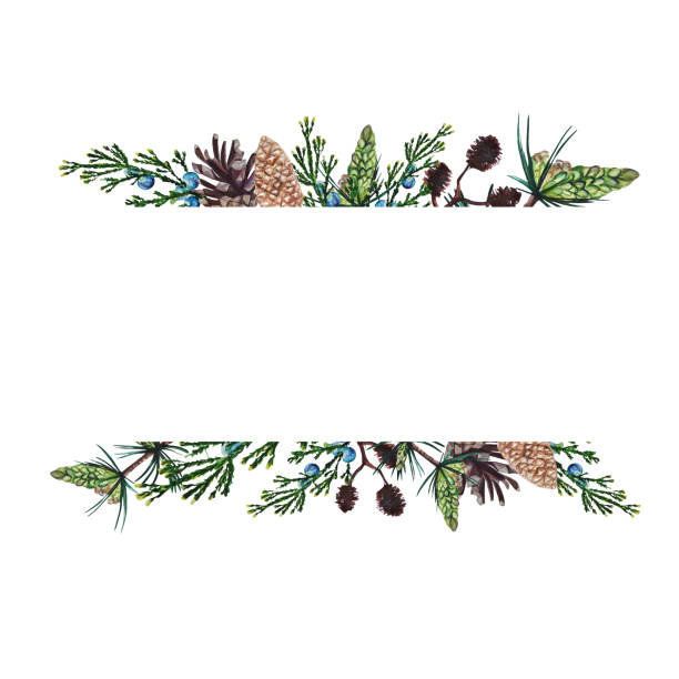 Detail Pinecone Clipart Nomer 41