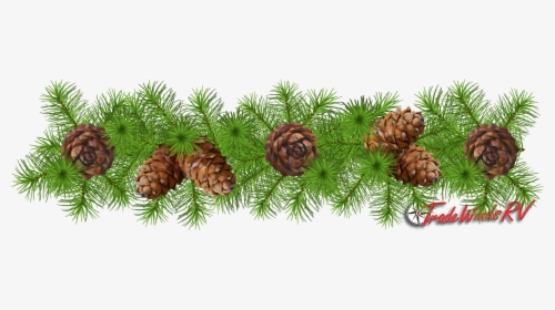 Detail Pinecone Clipart Nomer 43