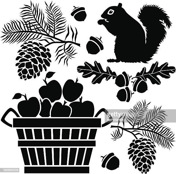 Detail Pinecone Clipart Black And White Nomer 45