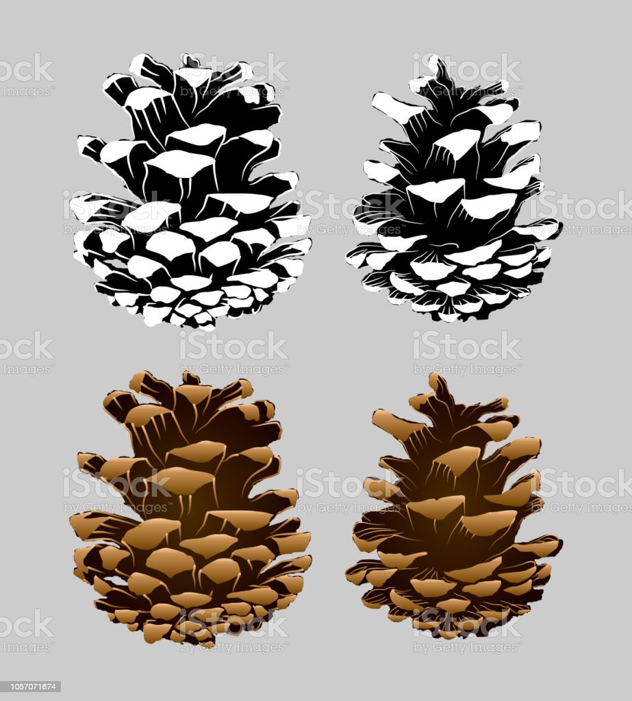 Detail Pinecone Clipart Black And White Nomer 47