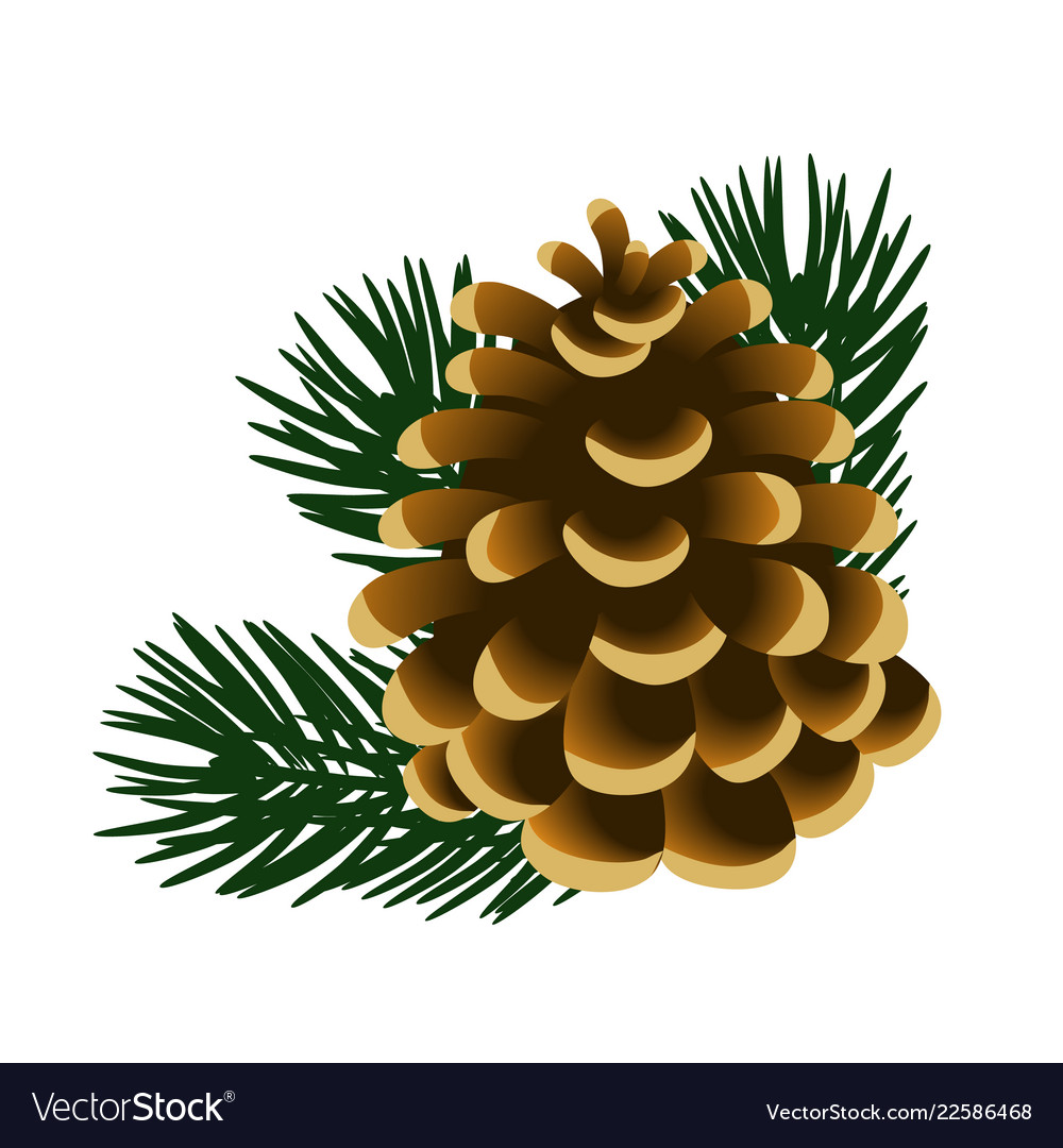 Detail Pinecone Image Nomer 18