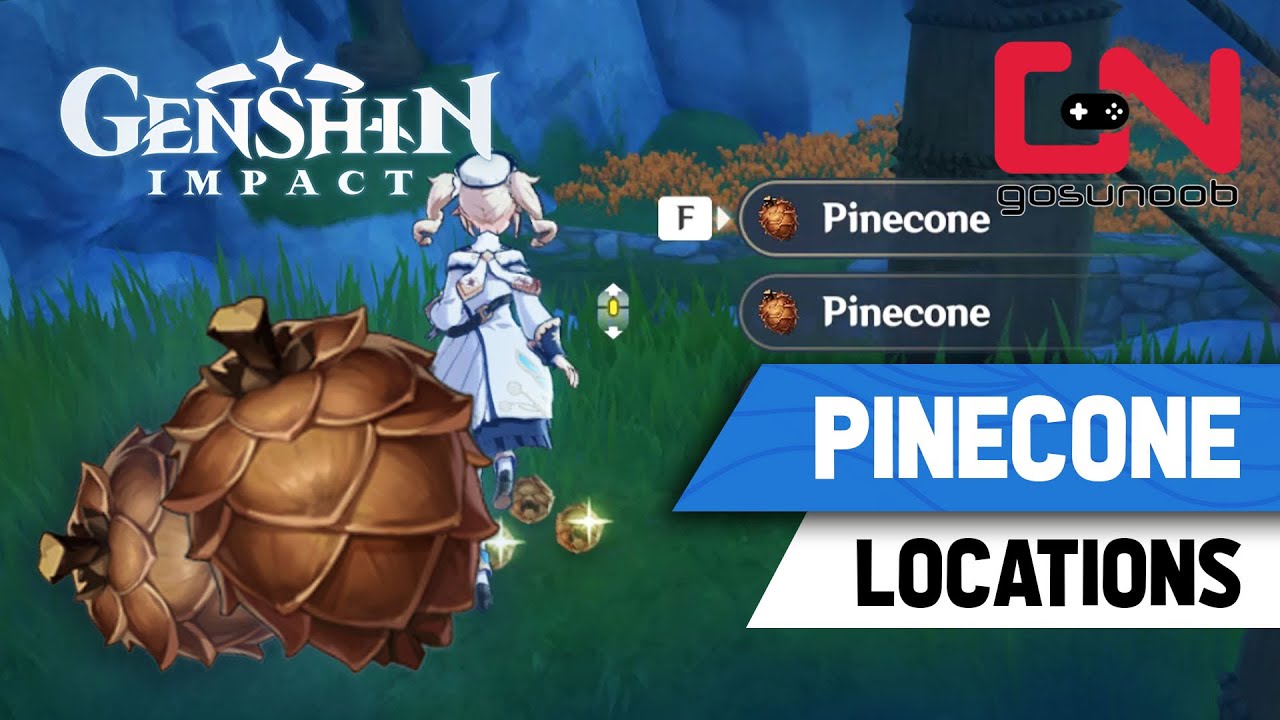 Detail Pinecone Image Nomer 46