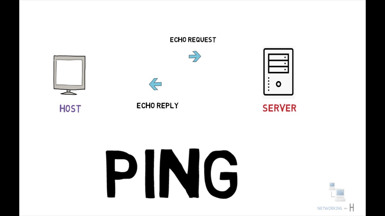Detail Ping Images Nomer 25