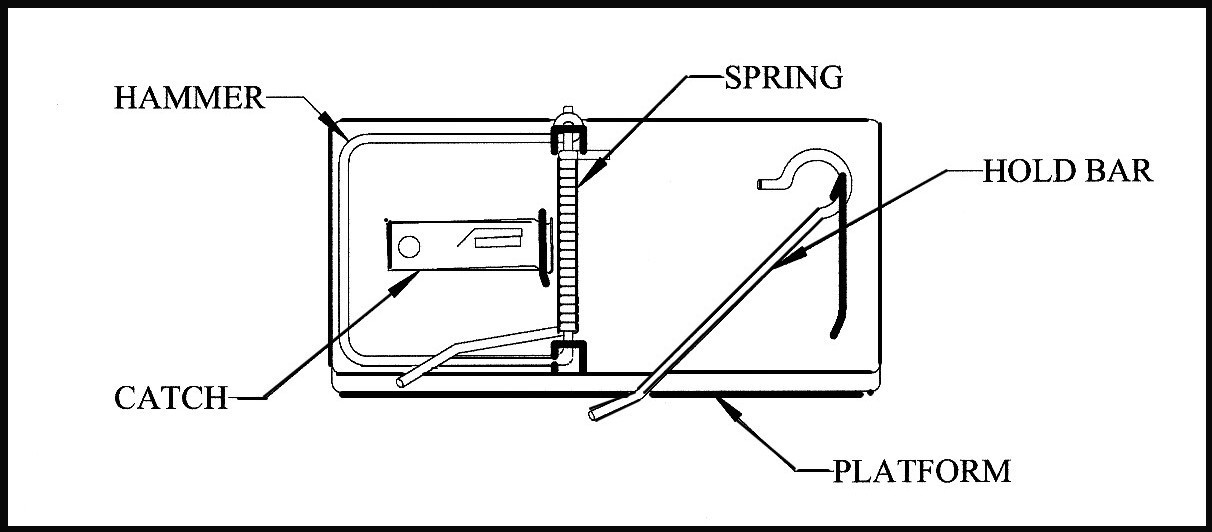 Detail Ping Pong Launcher Mouse Trap Nomer 20