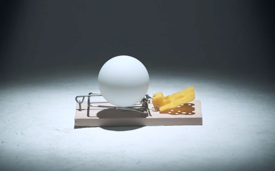 Detail Ping Pong Launcher Mouse Trap Nomer 23