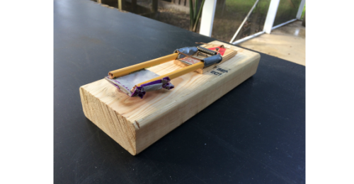 Detail Ping Pong Launcher Mouse Trap Nomer 37