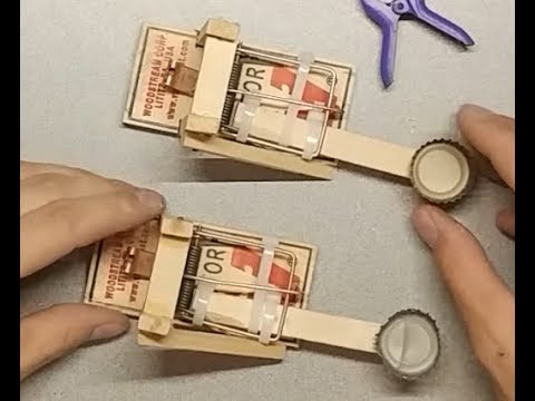 Detail Ping Pong Launcher Mouse Trap Nomer 6