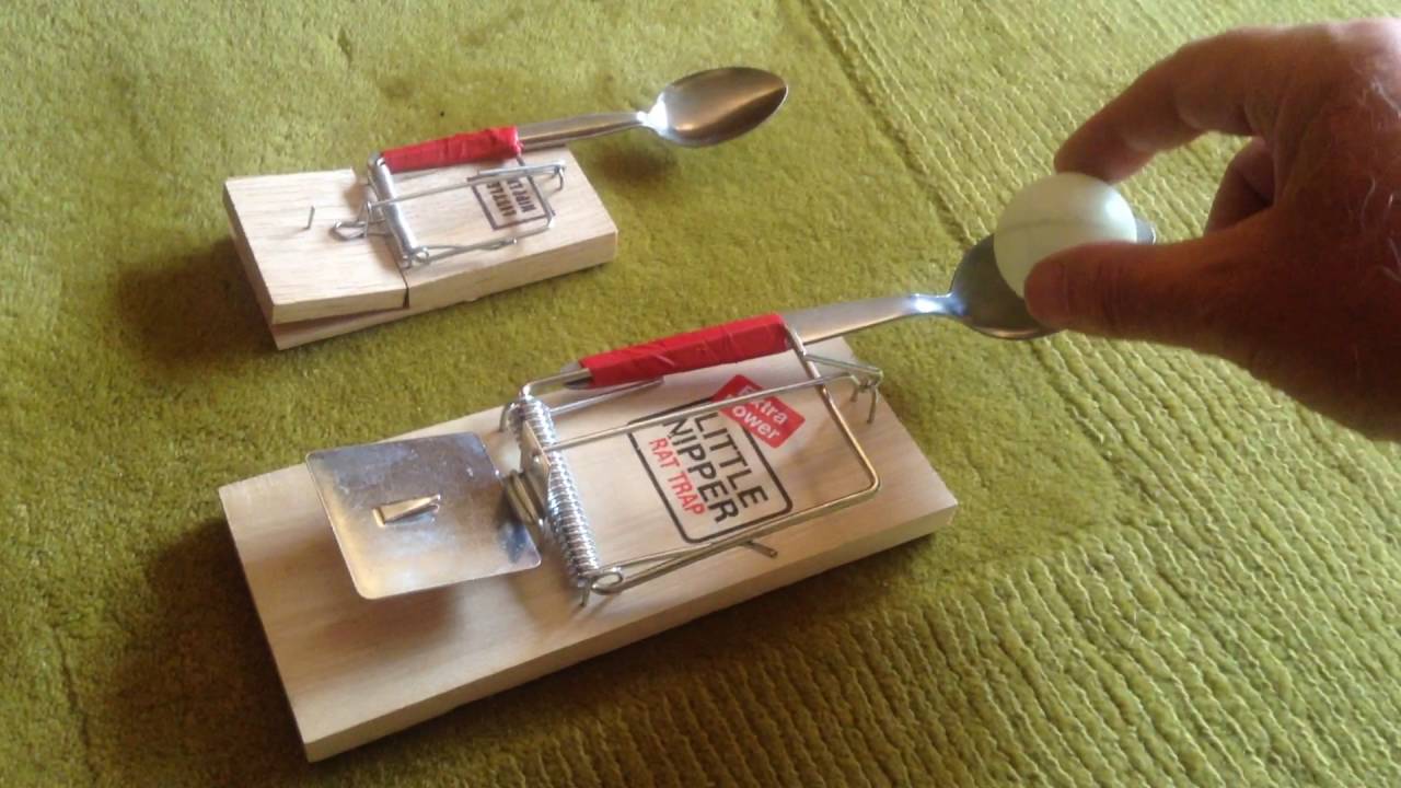 Detail Ping Pong Launcher Mouse Trap Nomer 8
