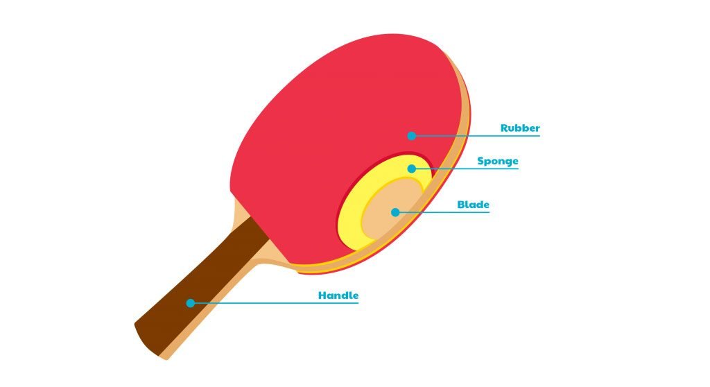 Detail Ping Pong Paddle Rating System Nomer 10