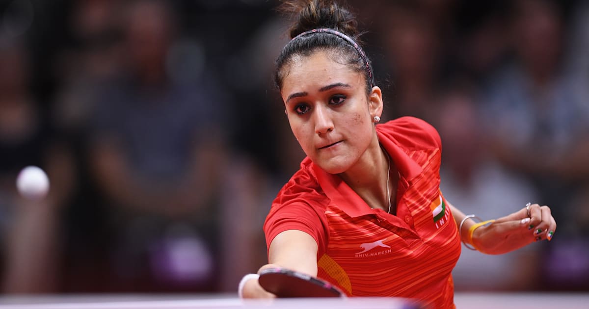 Detail Ping Pong Paddle Rating System Nomer 16