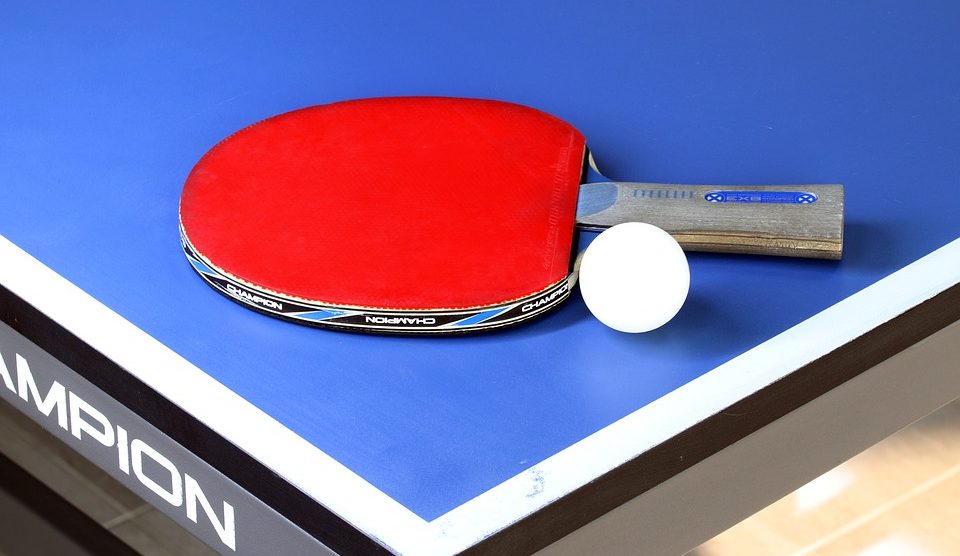 Detail Ping Pong Paddle Rating System Nomer 3