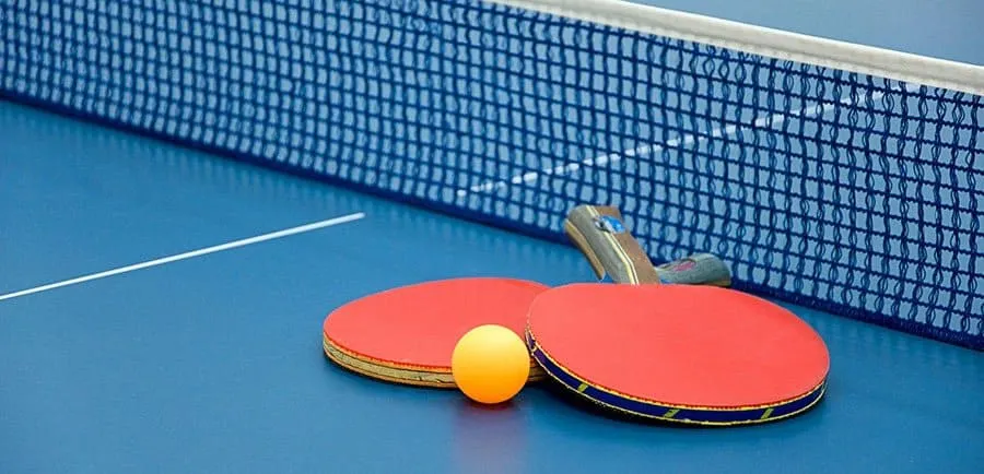 Detail Ping Pong Paddle Rating System Nomer 30