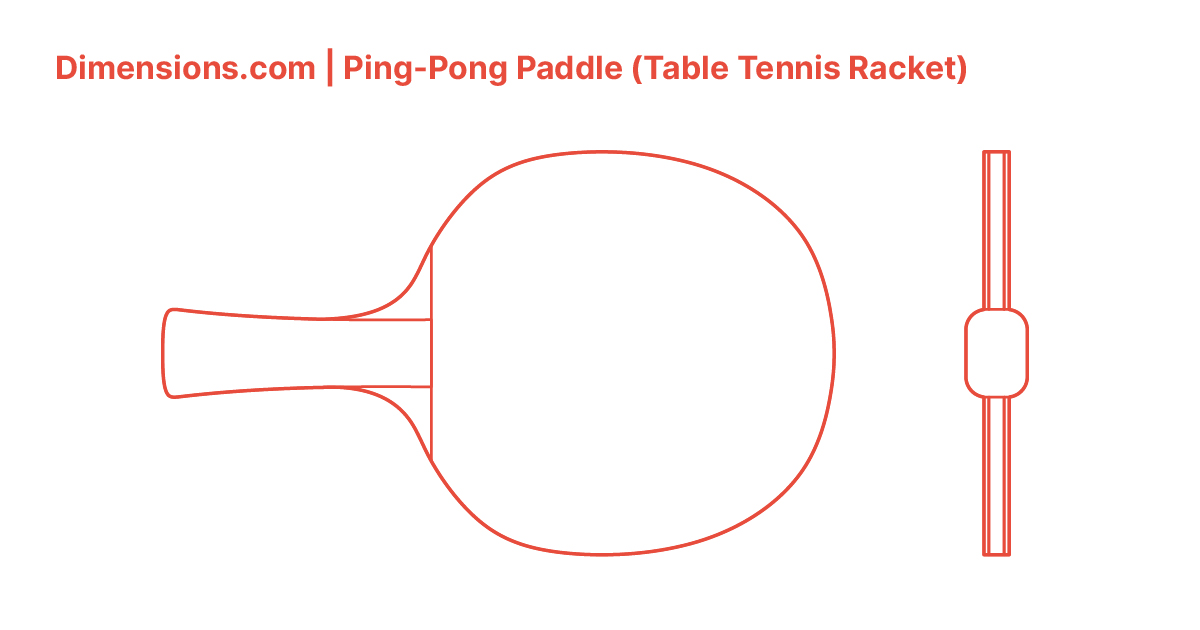 Detail Ping Pong Paddle Rating System Nomer 31