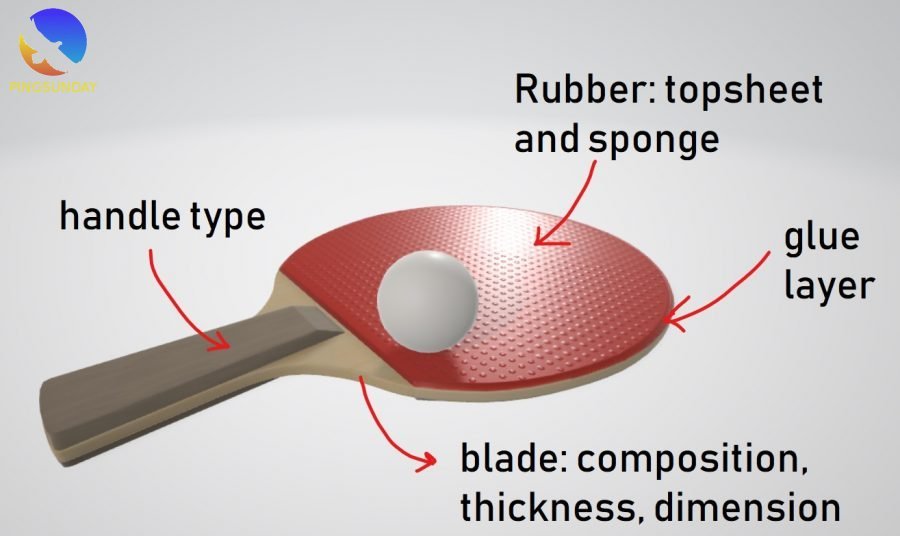 Detail Ping Pong Paddle Rating System Nomer 32