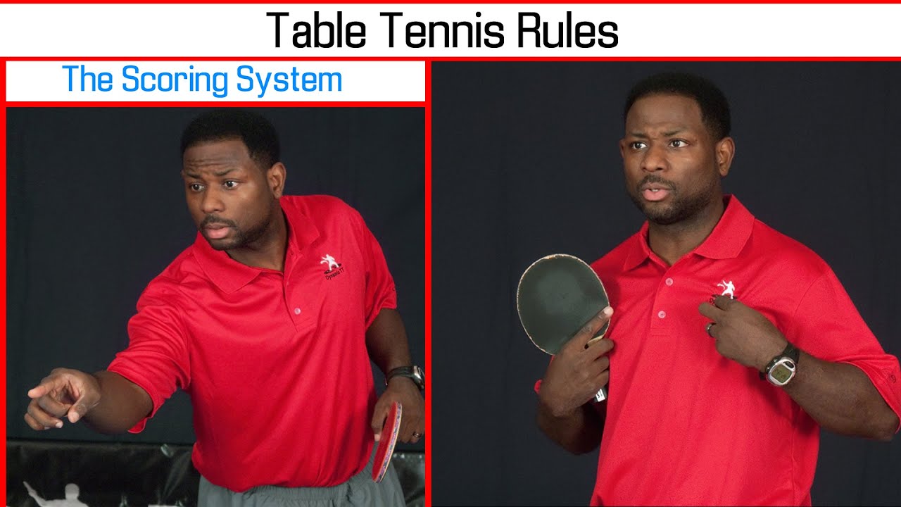 Detail Ping Pong Paddle Rating System Nomer 34