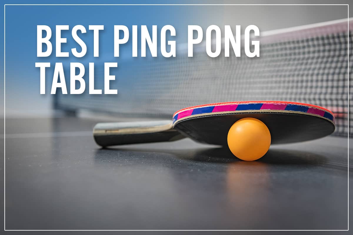 Detail Ping Pong Paddle Rating System Nomer 39
