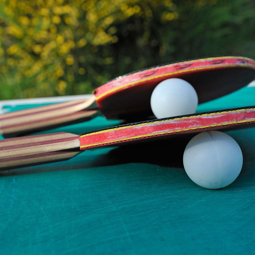 Detail Ping Pong Paddle Rating System Nomer 40