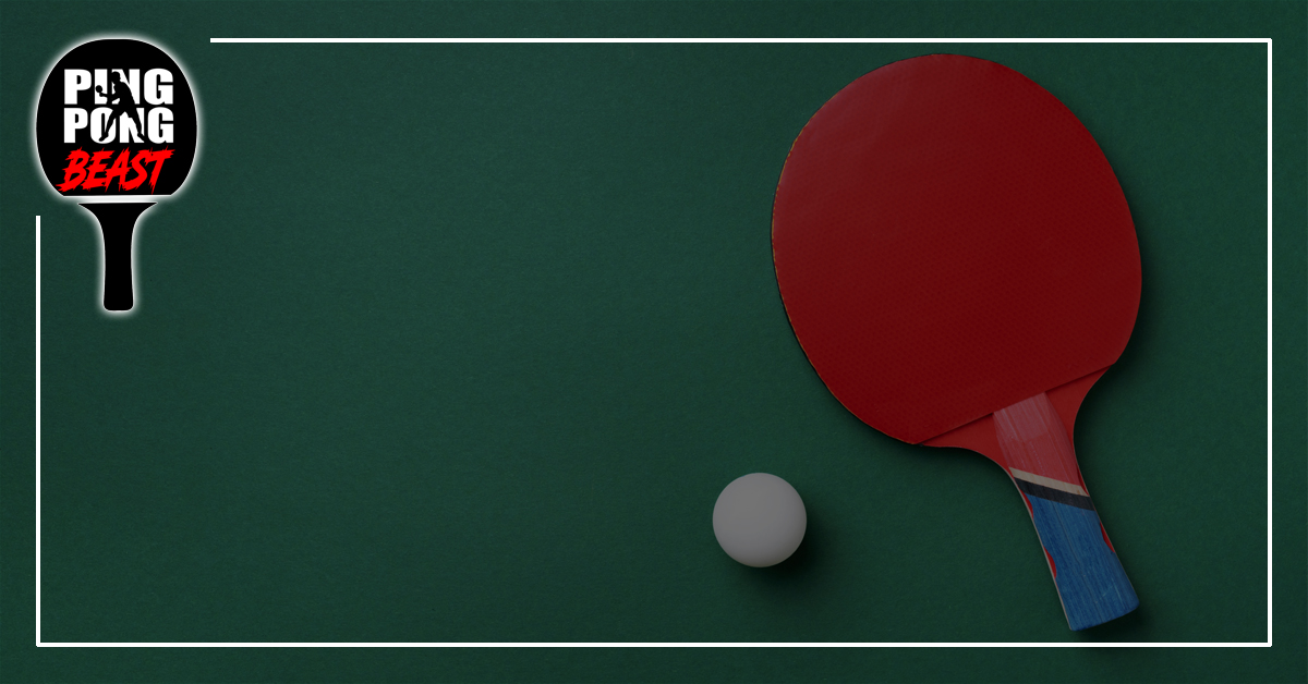 Detail Ping Pong Paddle Rating System Nomer 5