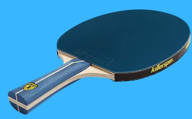 Detail Ping Pong Paddle Rating System Nomer 43