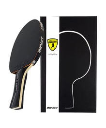 Detail Ping Pong Paddle Rating System Nomer 49