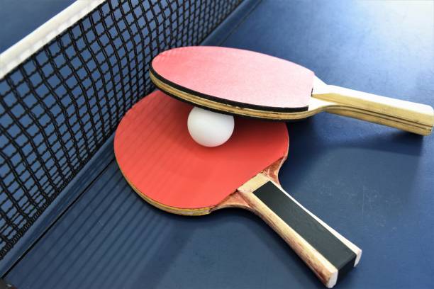 Detail Ping Pong Pic Nomer 3