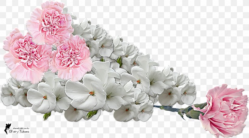 Detail Pink And White Flowers Png Nomer 12