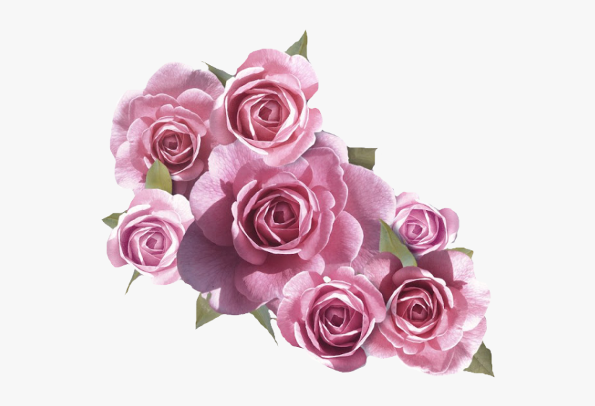 Detail Pink And White Flowers Png Nomer 2