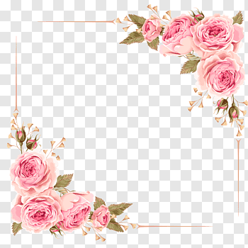 Detail Pink And White Flowers Png Nomer 20