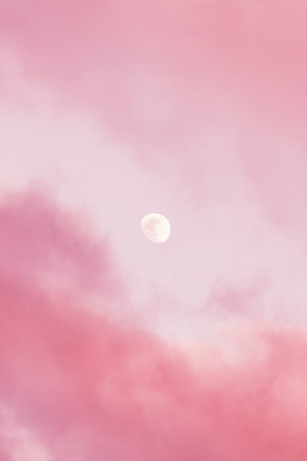 Detail Pink Background Nomer 3